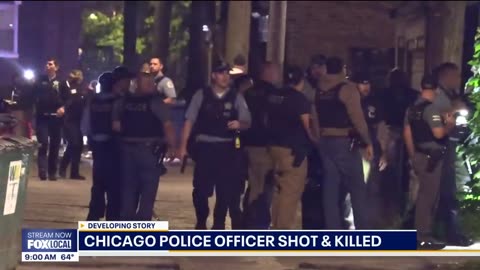 Murder of Chicago police officer is the latest in CPD's line of duty deaths - FOX 32 Chicago