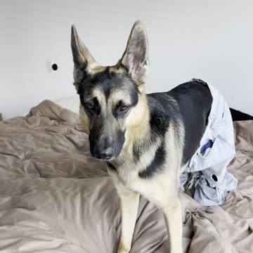 Showing off her genes