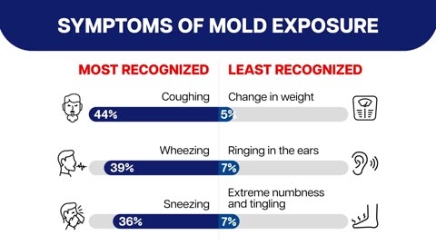 Nearly half of homes in US may have hidden mold