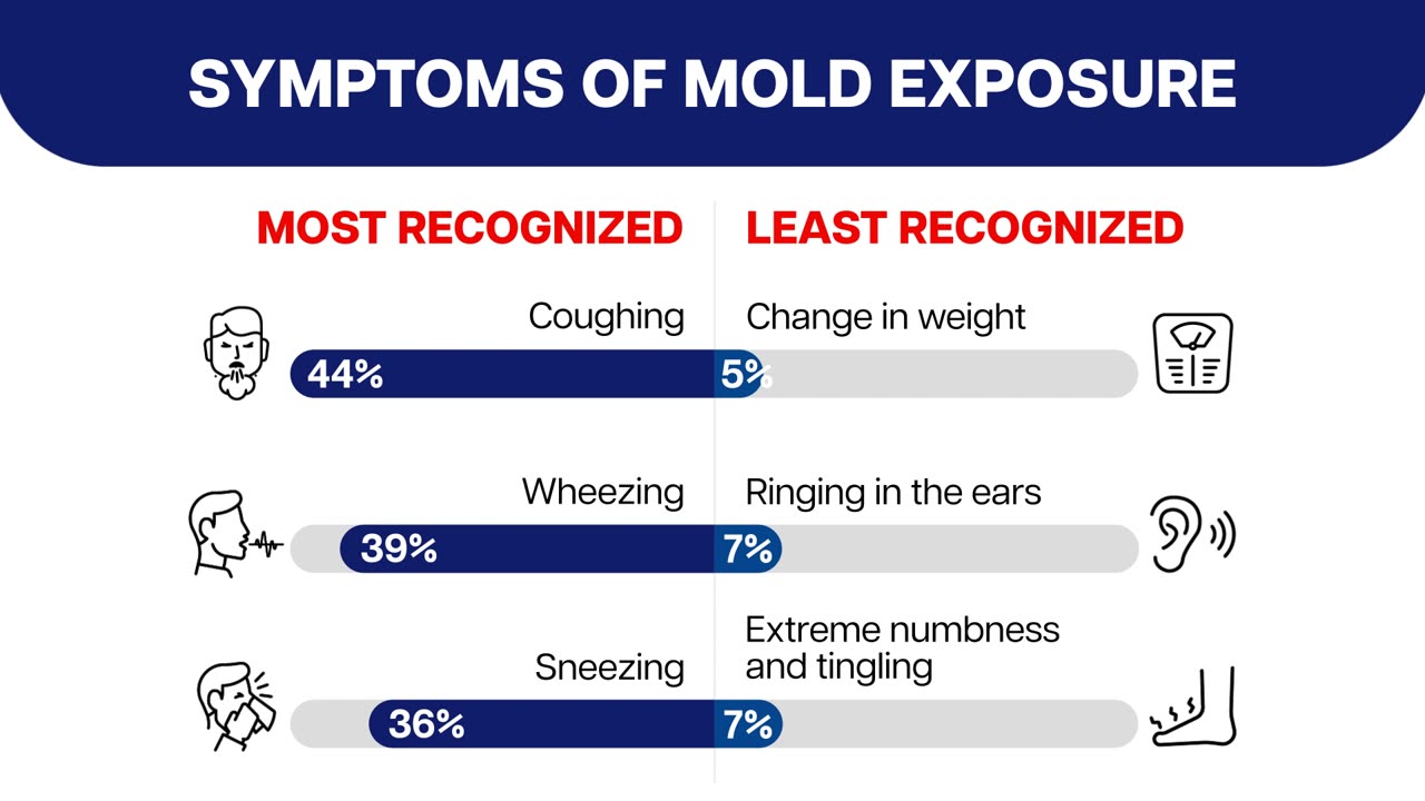 Nearly half of homes in US may have hidden mold