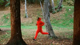 Domo Genesis - TIRESMOKE