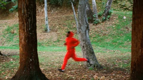 Domo Genesis - TIRESMOKE