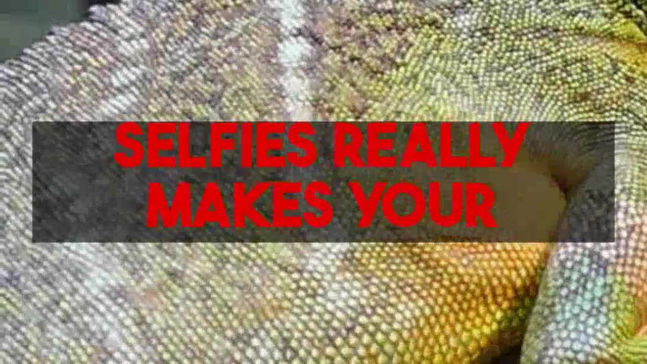 Maximizing Your One Day Universal Studios Visit for Memorable Photos