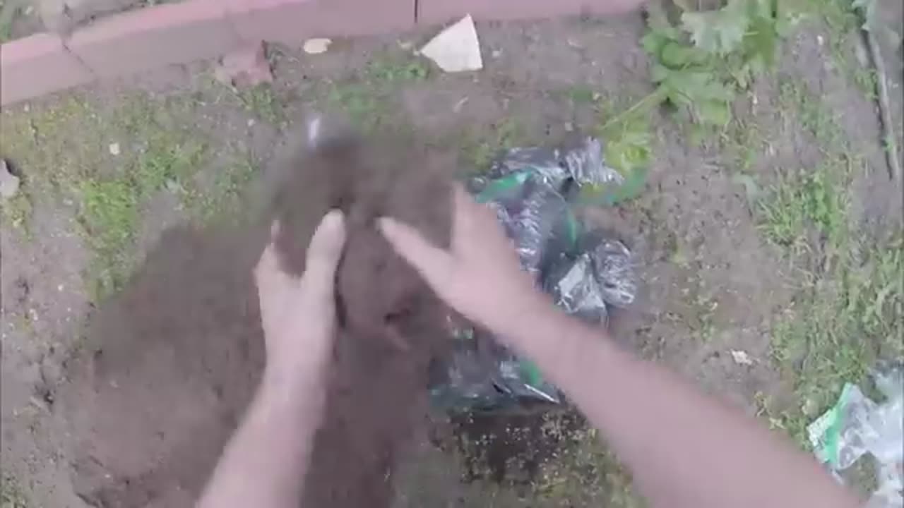 Planting a garden