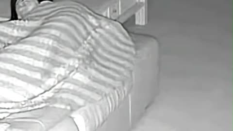 3 AM Night Vision Footage Shows a Cat Reacting to Something Invisible