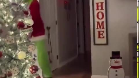 That boy was ready to fight to the death for his presents.