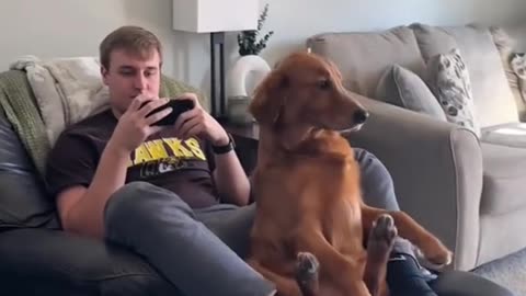 When you're not given the attention🤣 you deserve