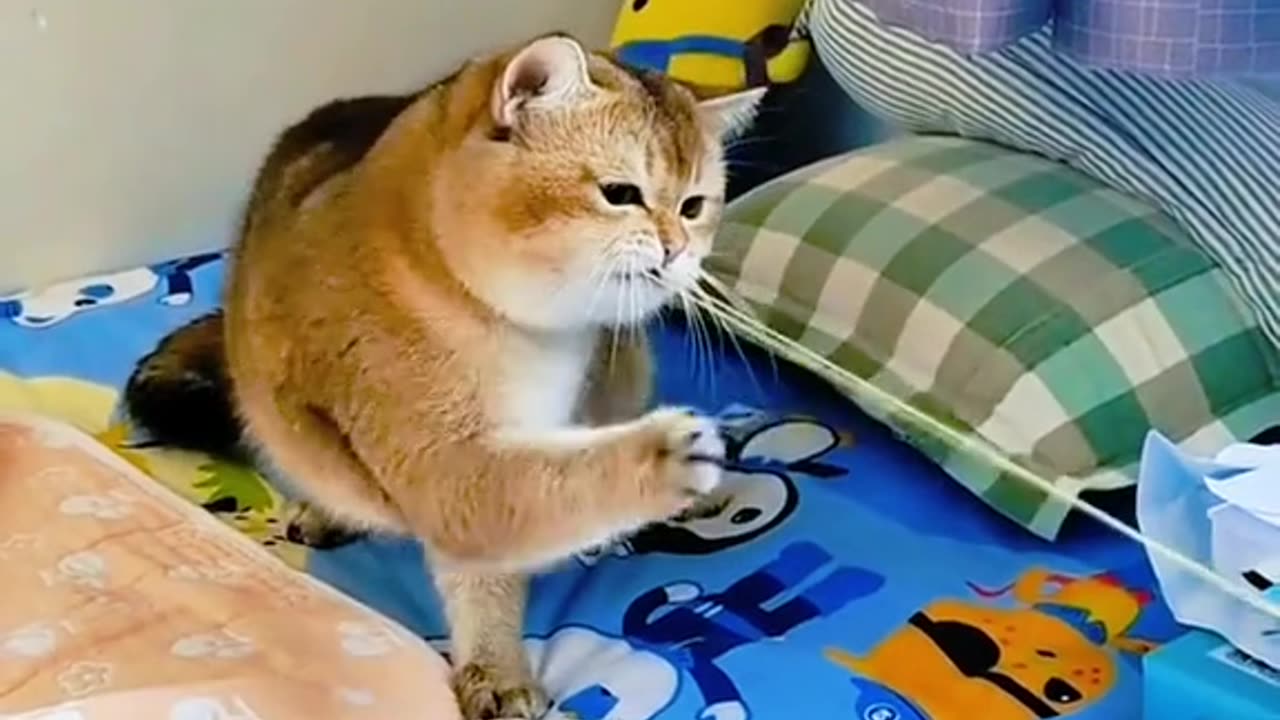 📹 Trending Chinese Viral Videos | Funny, Emotional & Shocking Moments