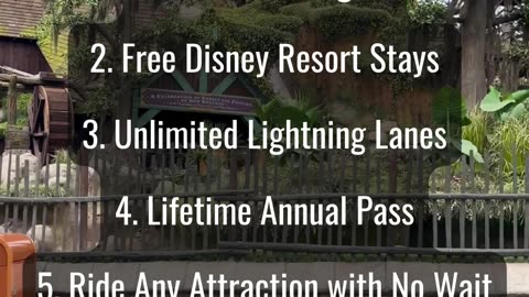 Disney Wishes