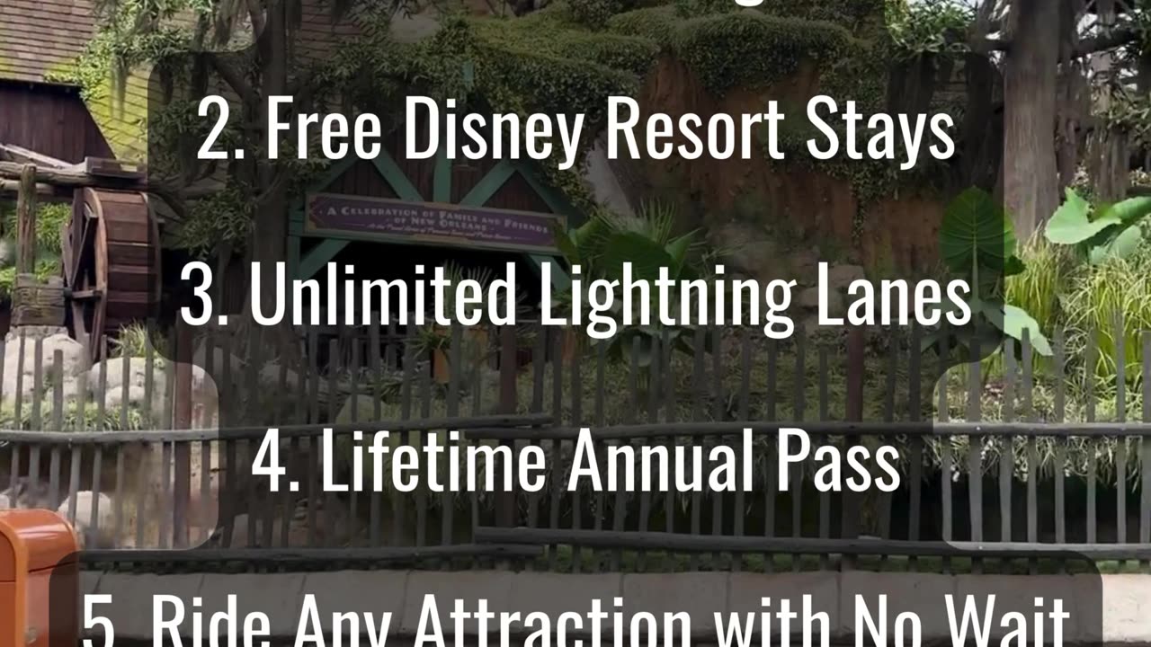 Disney Wishes