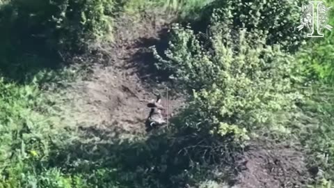 Ukraine war combat footage 8/6/25