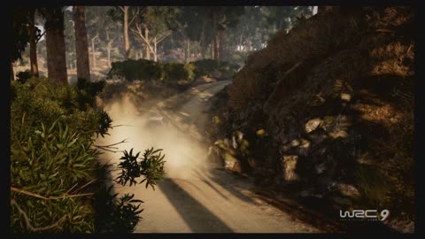 WRC9 (Ps5) Race15