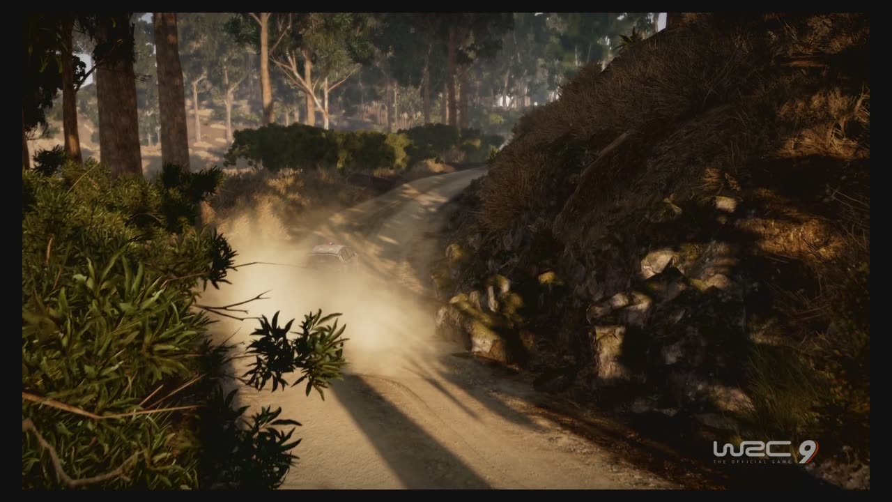 WRC9 (Ps5) Race15