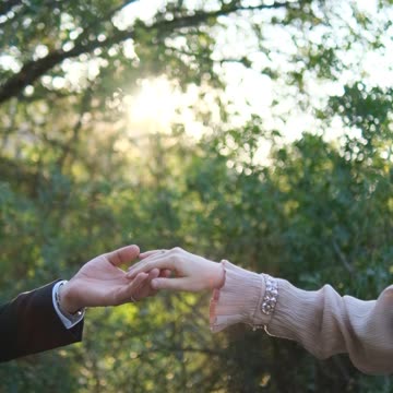 Romantic Hand Holding in Sunlit Forest
