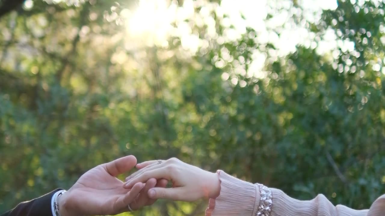 Romantic Hand Holding in Sunlit Forest