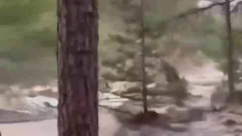 Raging floodwaters mercilessly sweep mobile home away in Ruidoso, New Mexico