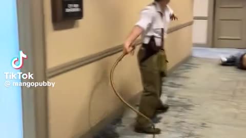 .