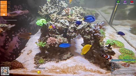 24/7 Real Live Reef Stream