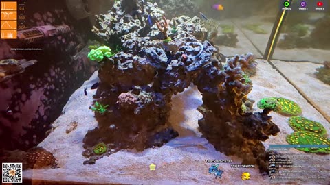 24/7 Real Live Reef Stream