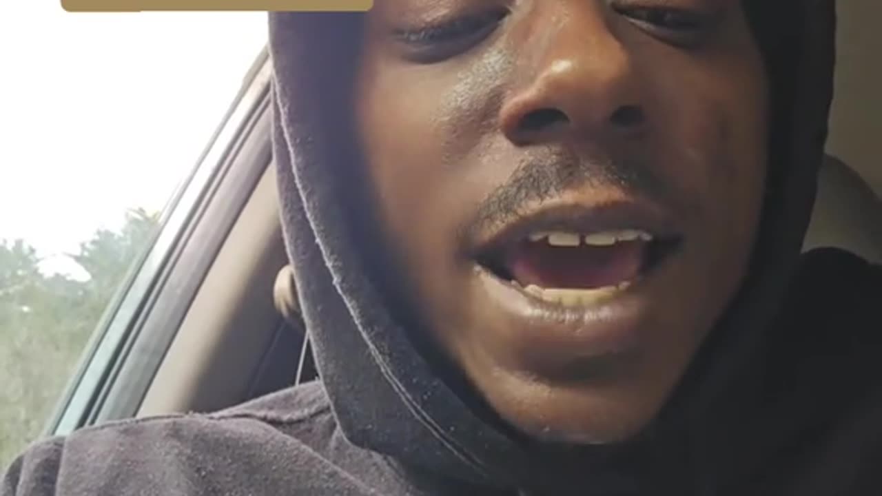 INSECTOIDS - THE BUILDERS OF NEURAL LATTICES.