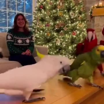 Dancing Too Much❤️