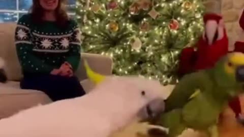 Dancing Too Much❤️