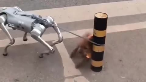 dog VS robotdog - furry friends #dog #ai #robot #robotdog #viral