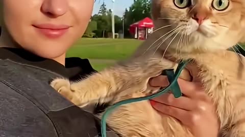 funny animals compilations 6