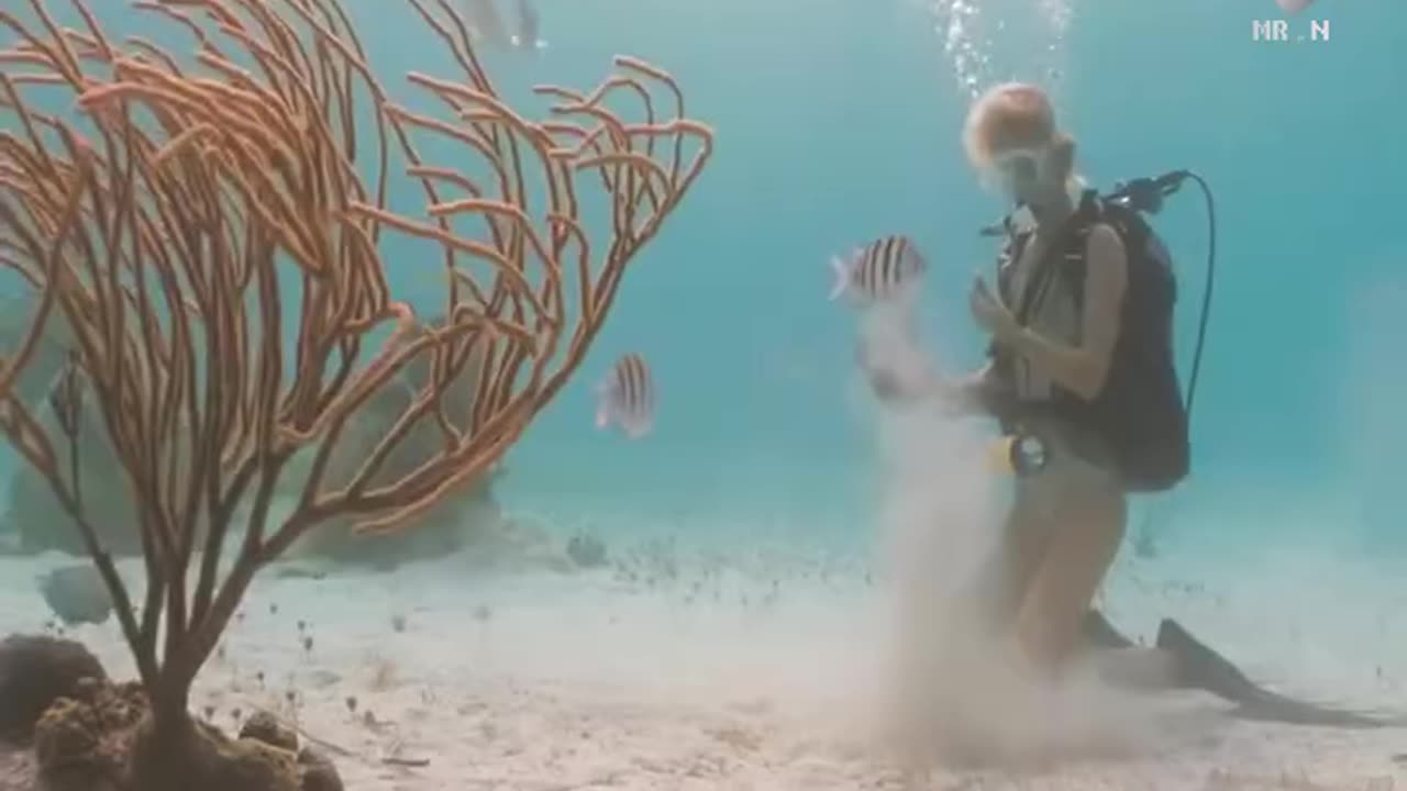 The Most Popular Movie That You Should Not Miss, Watch And Feel