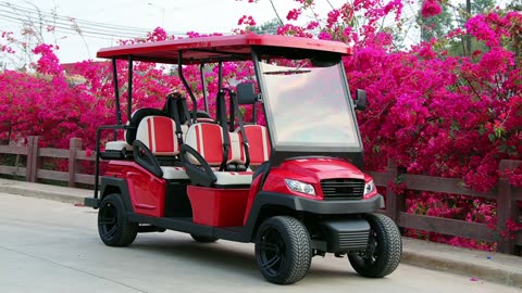AMI Golf Cart Rentals