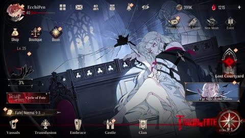 シルブラ Silver and Blood: codes, and overview account !