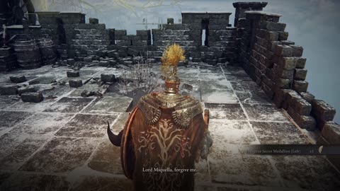 Elden Ring PC | Commander Niall boss co-op w/2 players on NG w/achievement & medallion after