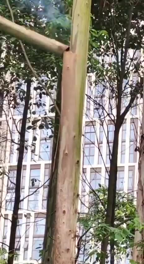 Educational Purposes Only..!