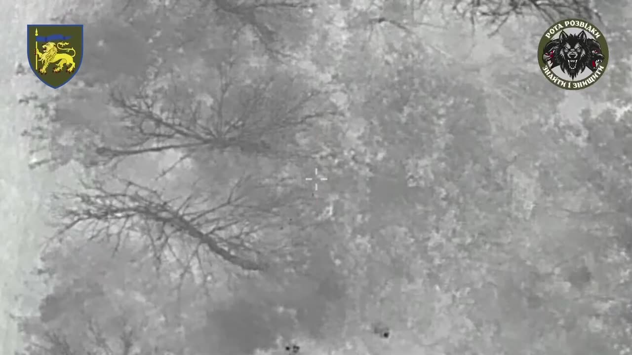 Ukrainian Drones Slinging Grenades At Russian Infantry Group