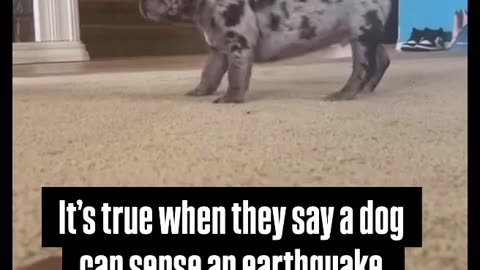🤯🌍 You Won't Believe This Earthquake Moment! | FunFM