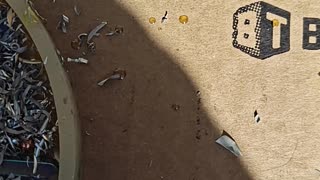 Making Healing Crystal Orgone Energy Water Charging Plates