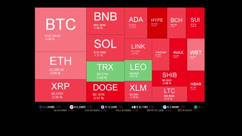 Live Coin Price Watch!