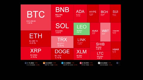Live Coin Price Watch!