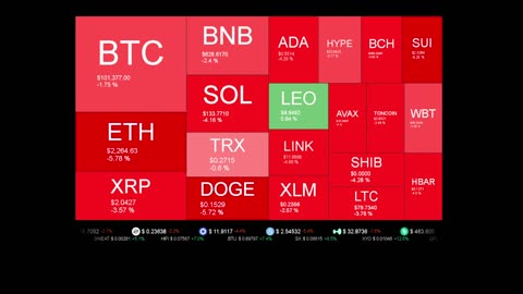 Live Coin Price Watch!