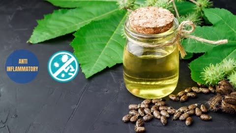 Just 2 Drops of Castor Oil in Your Navel Can Do This To Your Body