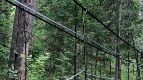 👁️‍🗨️ Staircases in the woods… to nowhere?