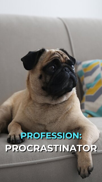 Profession: Procrastinator