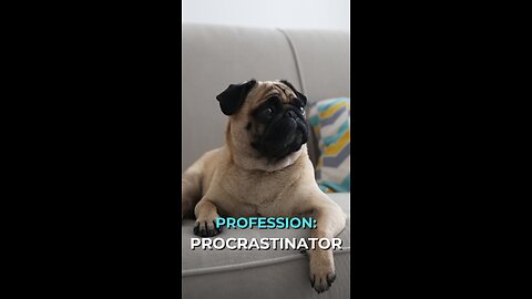 Profession: Procrastinator