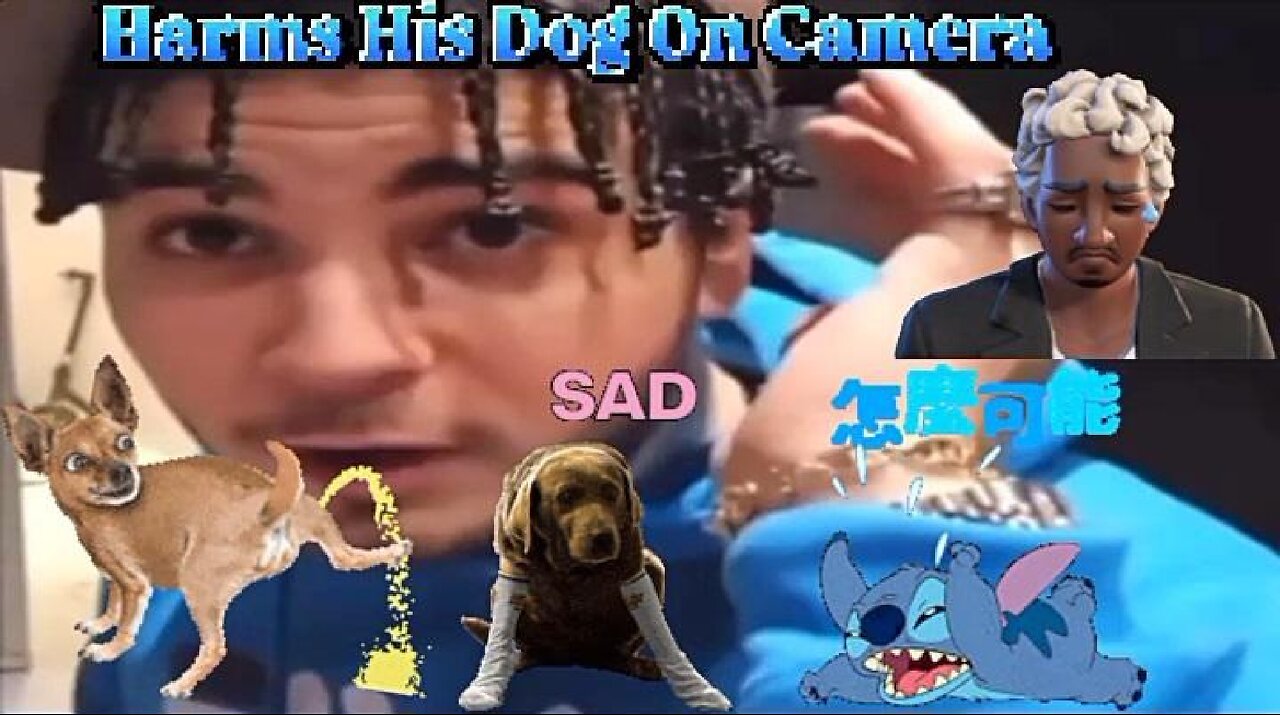 Toronto Man Abuses His Dog On Camera During Livestream