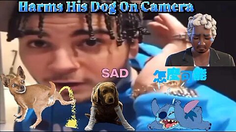 Toronto Man Abuses His Dog On Camera During Livestream