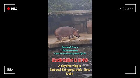 nature’s beauty in this urban jungle adventure. #Viral #Trending