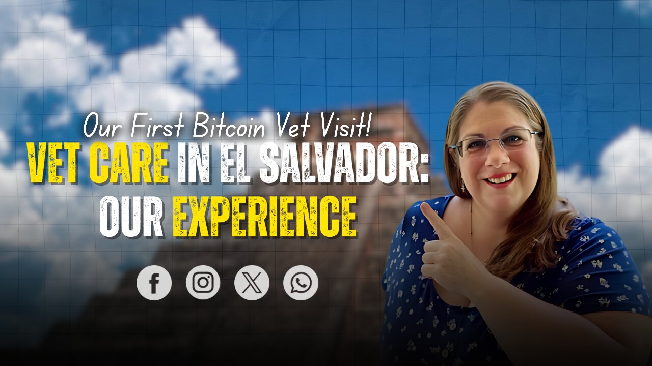 Paying with Bitcoin at Chivo Pets | Our First Vet Visit in El Salvador & Emergency Care for Our Cat