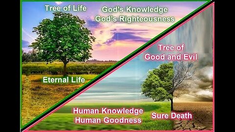 TREE OF KNOWLEDGE OF GOOD & EVIL ജീവവൃക്ഷത്തിൻെറ പൊരുളുകൾ ഉത്പ 2.6-9 #truth #jesus #mary #ihs #chur