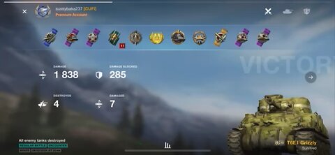 A Great Victory: Sherman EZ8