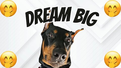 Doberman Has Big Dreams